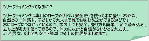 ���m���A�c���[�N���C�~���O