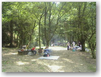 夏でもタープのいらない木陰のキャンプサイト