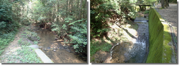 ���V�сA��V�сA���߂�A�������̏W�A���R�L�����v��