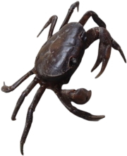 ���V�сA��V�сA���߂�A�������̏W�A���R�L�����v��