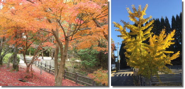 �g�t�A���t