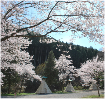 �L�����v��