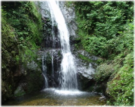 �����̖����S�I�A���]��܂Ńg���b�L���O�A�n�C�L���O